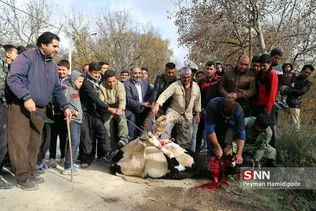 زائران پیاده «چناران شهر» خراسان شمالی