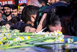 تشیع