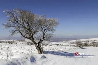 طبیعت برفی