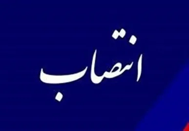 مدیرکل دفتر برنامه‌ریزی آموزش عالی وزارت علوم منصوب شد