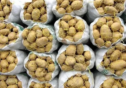سهمیه صادرات سیب&zwnj;زمینی در سال جاری تکمیل شده است