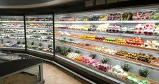 یخچال پرده هوا چیست؟ لیست فروشندگان یخچال روباز فروشگاهی پرده هوا