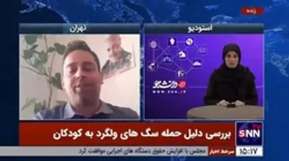 عضو هیات علمی دانشگاه تهران: راهکار کنترل جمعیت سگ&zwnj;های بلاصاحب و ولگرد استفاده از راهکار&zwnj;های علمی و بین&zwnj;المللی است/ عقیم کردن اولین قدم است