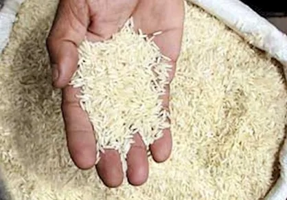 عامل ناشناس گرانی برنج