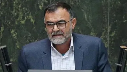 دلیل گرانی آرد و ماکارونی از زبان عضو کمیسیون کشاورزی مجلس