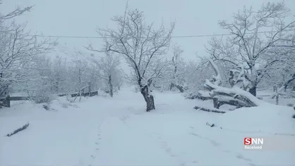 افزایش ۹۶ درصدی بارش&zwnj;ها در خراسان جنوبی