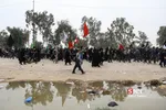 پیاده