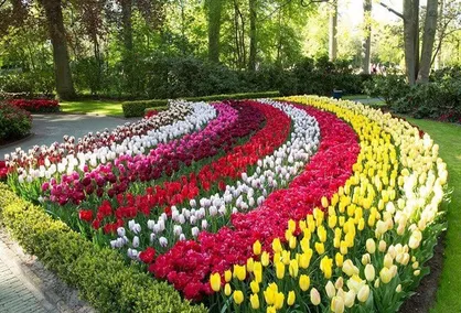 اجرای بیش از هزار متر مربع فرش گل در سطح منطقه ۱۷