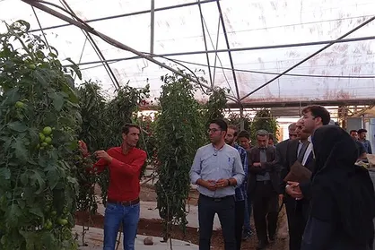 دانشگاه آزاد اصفهان به فناوری تولید بذر هیبرید دست یافت
