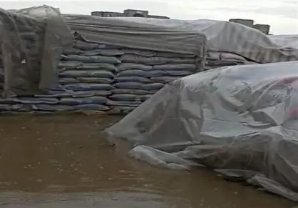 برنج&zwnj;ها در گمرک زاهدان همچنان گرفتار در سیل/ چرا مسئولان اجاره ترخیص نمی&zwnj;دهند؟