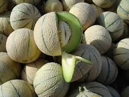 با ۲۵ فایده طالبی برای سلامتی، پوست و مو آشنا شوید