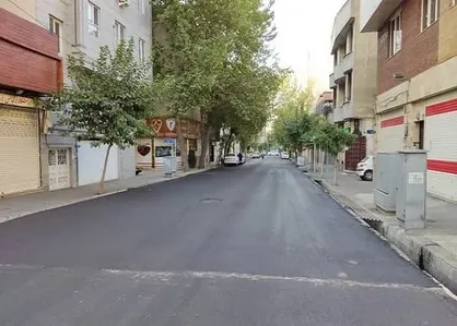 تکذیب خبر سرقت المان خودروی چاق و لاغر خیابان دادمان
