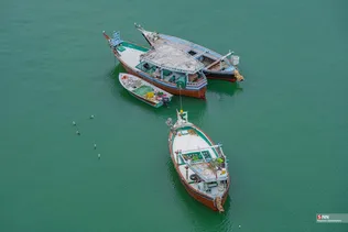بریس