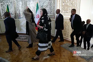 دیدار و نشست وزیر روابط و همکاریهای آفریقای جنوبی با وزیر امور خارجه ایران