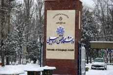 پایان‌نامه دانشجوی دانشگاه محقق اردبیلی شایسته تقدیر شد