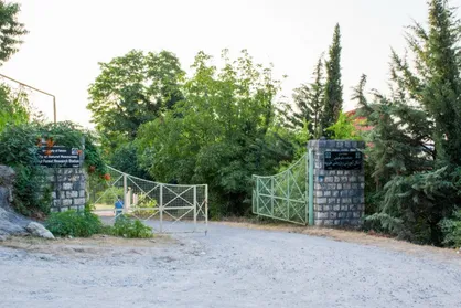 تفاهم&zwnj;نامه ۳۰ ساله سوم مدیریت پایدار جنگل در جنگل&zwnj;های هیرکانی منعقد می&zwnj;شود