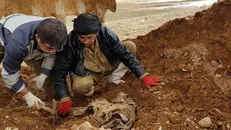 کشف پیکر مطهر یک شهید در یک تاریخ خاص