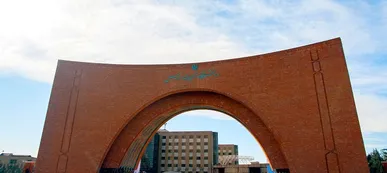 دانشجویان دانشگاه تربیت مدرس با چه شرایطی شامل حذف سنوات تحصیلی می‌شوند؟