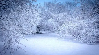 بارش غیرمنتظره برف در همدان + فیلم