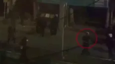 ای بابا، مرده بودیما!