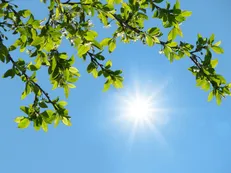 آسمانی صاف در بیشتر مناطق کشور