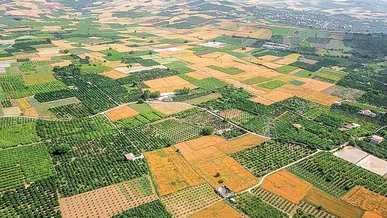 صدور سند رسمی برای اراضی کشاورزی در زنجان