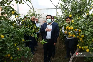 بازدید خبرنگاران از طرح‌های اقتصاد مقاومتی استان مازندران