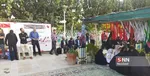 محمدرضا احمدی