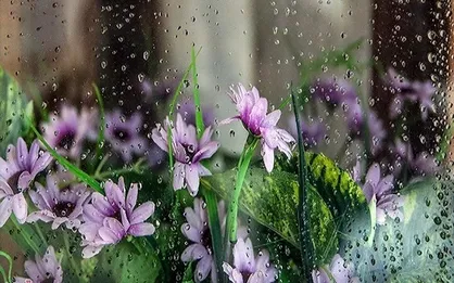 بعدازظهر&zwnj;های بارانی با باد و رعدو برق ادامه دارد