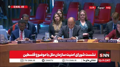 نماینده پاکستان: آتش بس در غزه از جانب اسرائیل مکررا نقض می&zwnj;شود&nbsp;/ نماینده فلسطین: هیچ دردی بالاتر از این نیست که مردم ما را حیوان خطاب کردند + فیلم