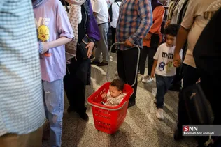 نوشت