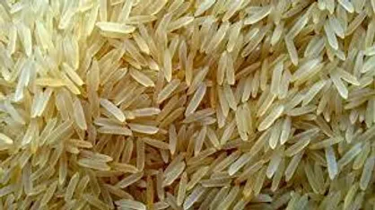سیر نزولی قیمت برنج خارجی/ بازرگانان با تخفیف ویژه برنج&zwnj;شان را عرضه کردند