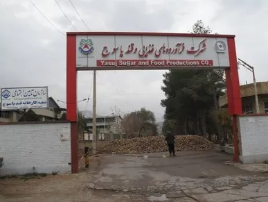 کارخانه قند یاسوج پس از ۹ سال تعطیلی به مدار تولید بازگشت