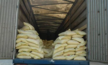 کشف ۴۶ تُن برنج قاچاق در یزد