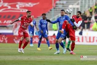 دبب