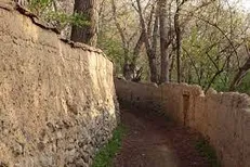 شناسنامه الکترونیکی ۶۰ درصد از باغ‌های کن تهیه شد