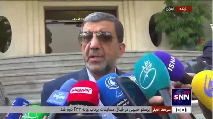 ضرغامی: بخش زیادی از کشور&zwnj;هایی که پیشنهاد لغو روادید آنها داده شده بود در جلسه امروز رای آورد