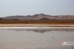 آبگیری تالاب‌ حوض سلطان قم در پی بارش‌های اخیر