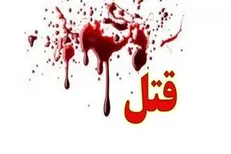 جزئیات جدید قتل دختر جوان از زبان رئیس پلیس+ فیلم