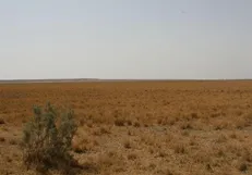 خشکی تالاب بندعلی‌خان ۳۰ میلیارد تومان به عشایر خسارت زد