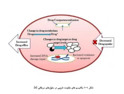 هم&zwnj;افزاییِ دارو&zwnj;های ضد دیابتی و نانوکورکومین در درمان شایع&zwnj;ترین سرطان در زنان