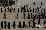 شهادت امام جواد