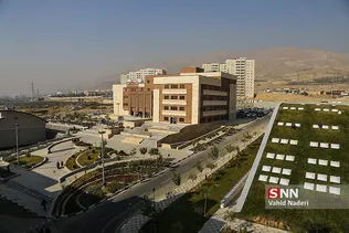 علامه