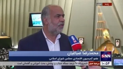 صباغیان: امیدواریم با تشکیل وزارت بازرگانی، دولت دیگر بهانه&zwnj;ای برای کنترل قیمت&zwnj;ها نداشته باشد