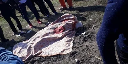 ۸ کشته و ۳۶ مصدوم به دلیل واژگونی اتوبوس در اتوبان قم-تهران