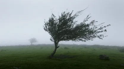 هشدار نارنجی هواشناسی درباره تشدید سرعت وزش باد در اردبیل