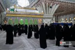شاپور محمد زاده نهضت