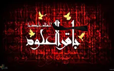 شهادت و وصیت امام محمد باقر (علیه السلام)