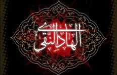 نشانه انسان جاهل و سفیه به روایت امام هادی علیه السلام