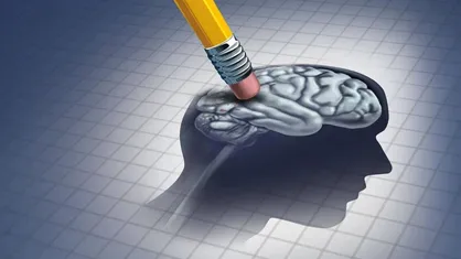 کشف کلید مولکولی آلزایمر؛ راهی جدید برای نجات حافظه